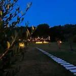 Olivia's Hill 4*