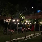 Padel Olivia's Hill Kryemëdhej