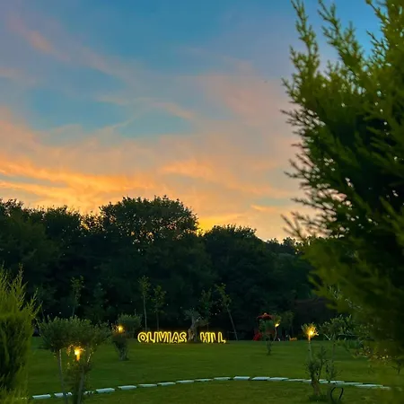 Hotell Olivia's Hill