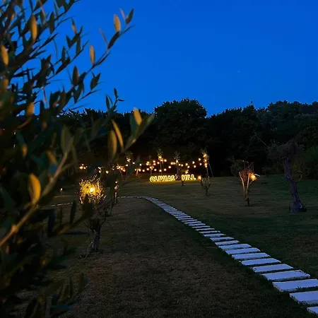 Olivia's Hill 4*