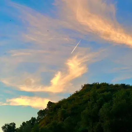 Olivia's Hill Hotell