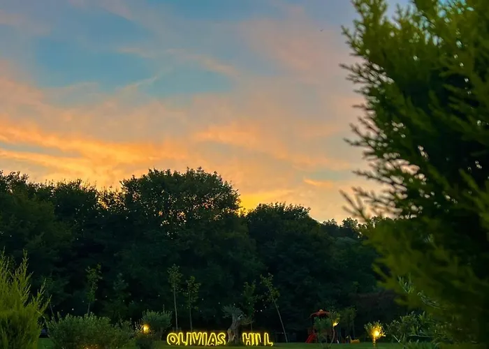 Отель Padel Olivia's Hill