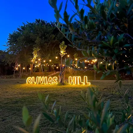 Padel Olivia's Hill 4* Kryemedhej