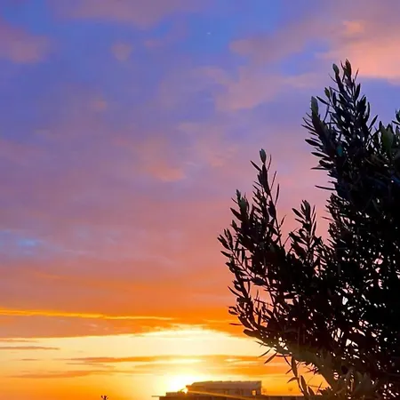 Padel Olivia's Hill Отель