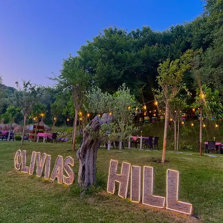 Otel Padel Olivia's Hill 4*