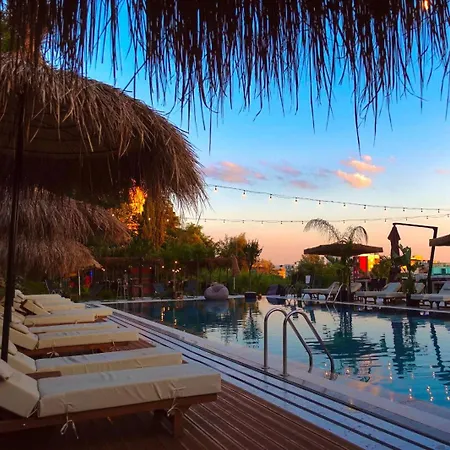 Padel Olivia's Hill Otel