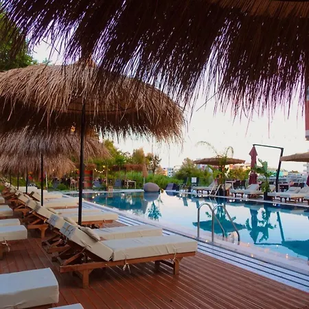Otel Padel Olivia's Hill