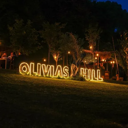 Padel Olivia's Hill