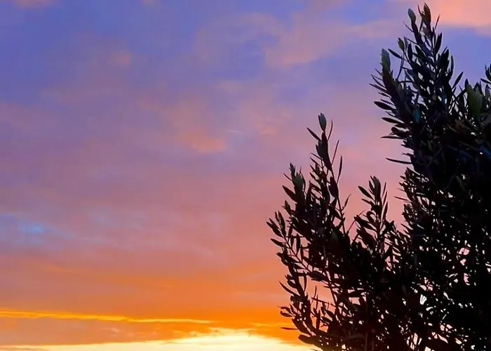 Padel Olivia's Hill Hotel