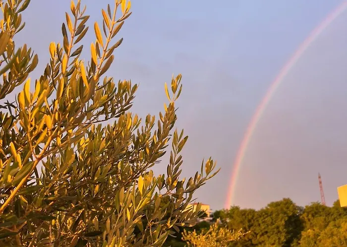 Padel Olivia's Hill 酒店 4*