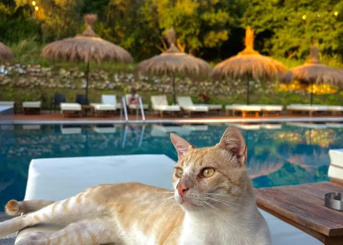 Hotel Padel Olivia's Hill 4*